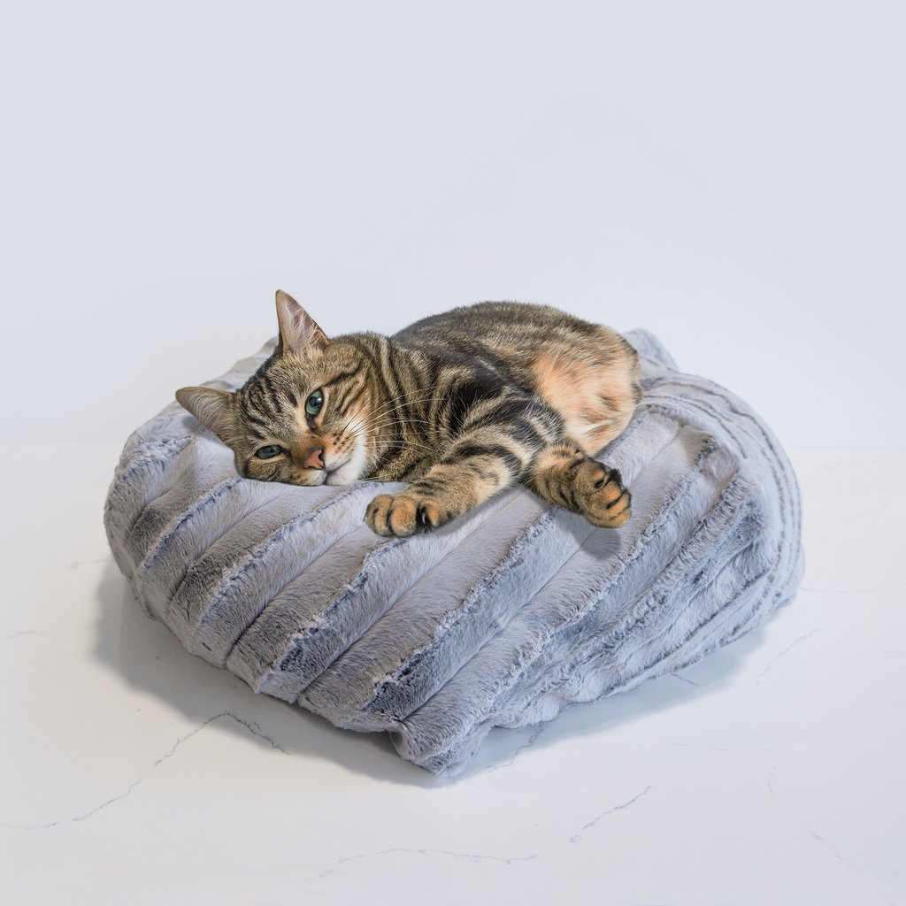 新款爱心型猫垫宠物垫